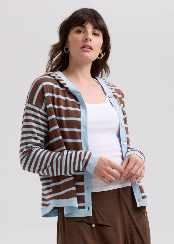 Model wearing Sky Multi Stripe Hoodie By LD + CO Available at Beetees Nelson
