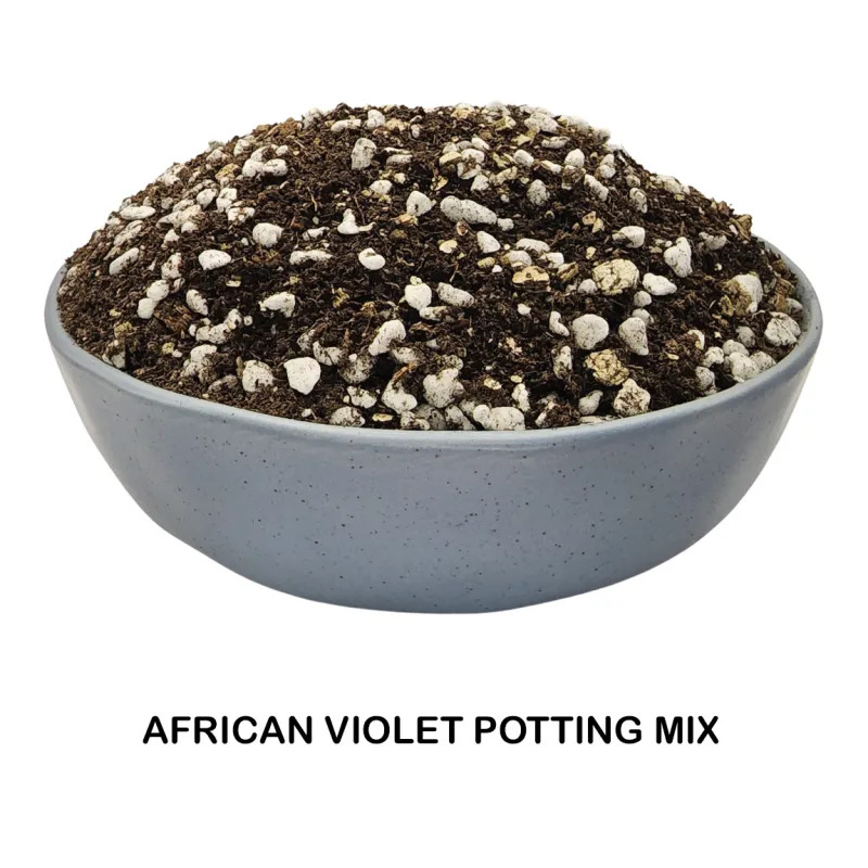 Bio Leaf African Violet Potting Mix, also good for streptocarpus, gloxinia, ferns, syngoniums, pitcher plants