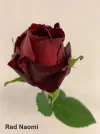 Red Naomi