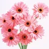 Gerberas