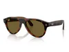 690573 Havana Frame + Brown Lens