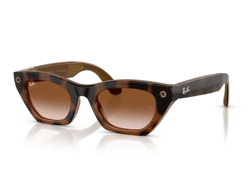 690513 Havana Frame + Brown Gradient Lens