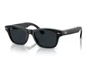 601/1Z Black Frame + Grey Transitions Lens