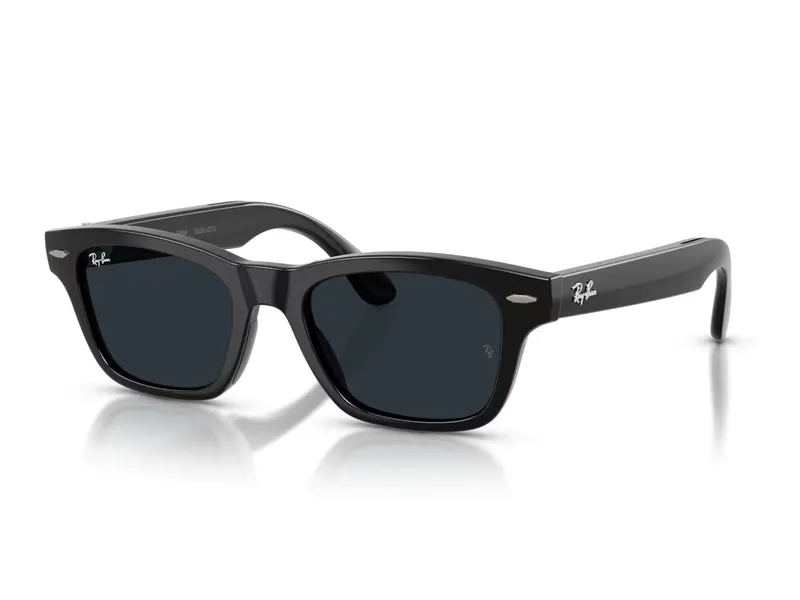601/1Z Black Frame + Grey Transitions Lens