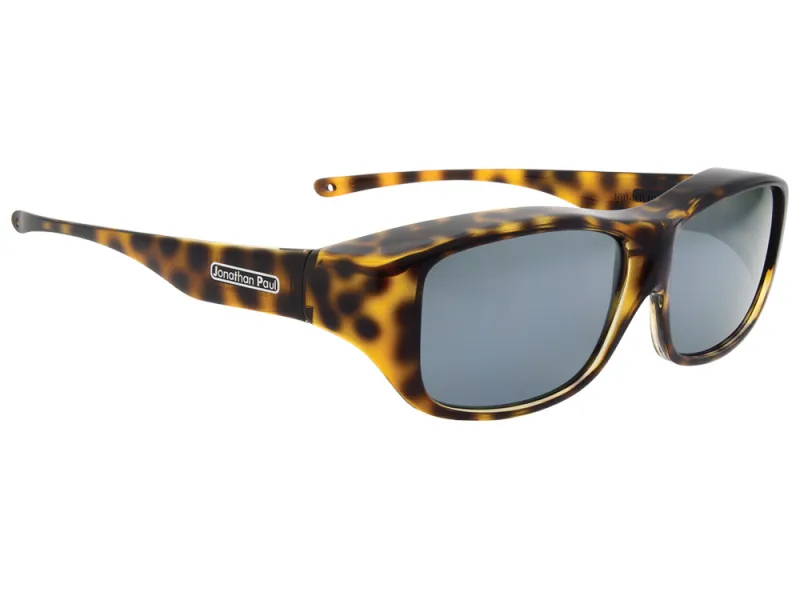 Quamby Cheetah (QL003)