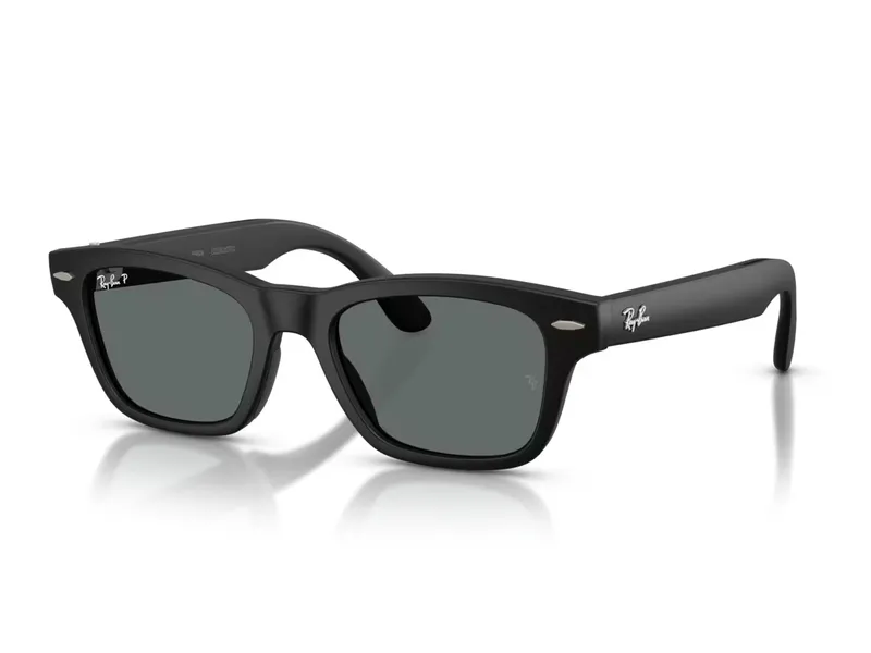 601S81 Black Frame + Grey Polarized Lens