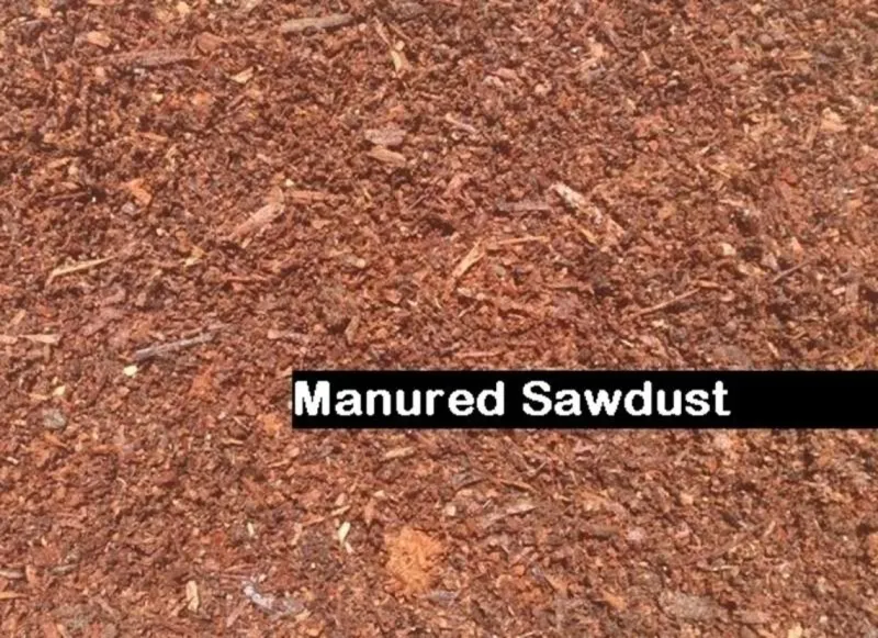 manured sawdust