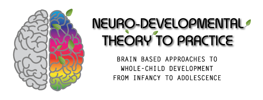 Neurodevelopmental Theory to Practice