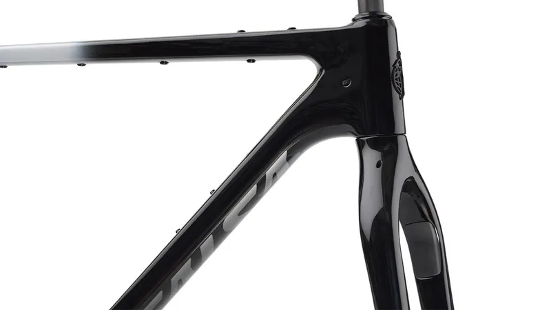Salsa Cutthroat 2025 V3 Frameset