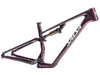 Salsa Spearfish C DLX Frameset