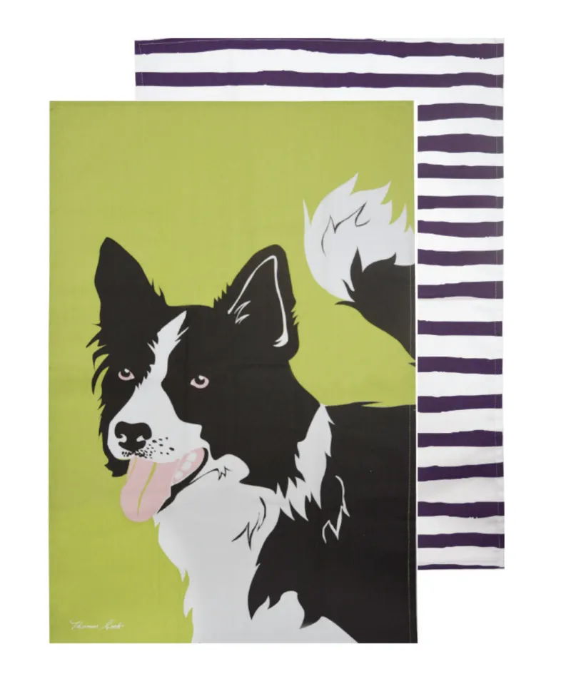 Border Collie
