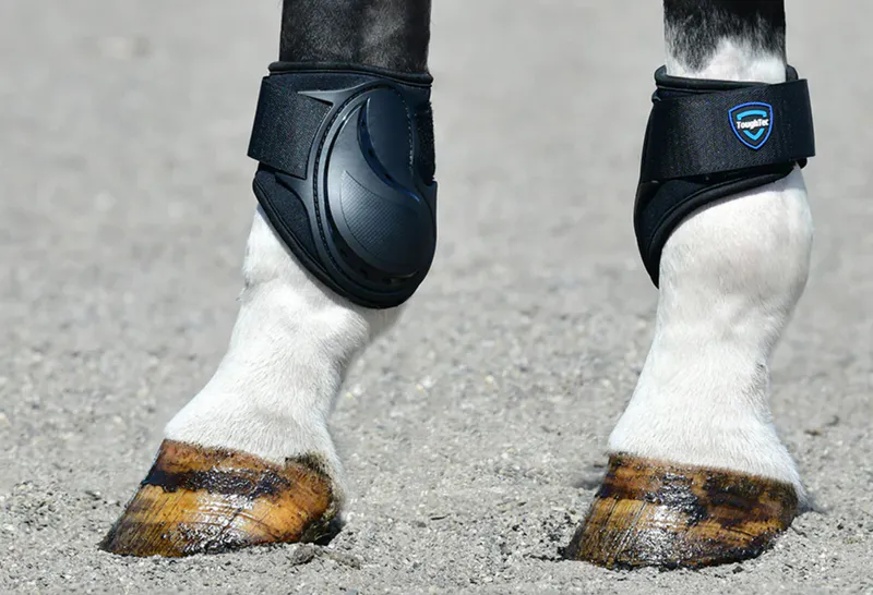 Fetlock