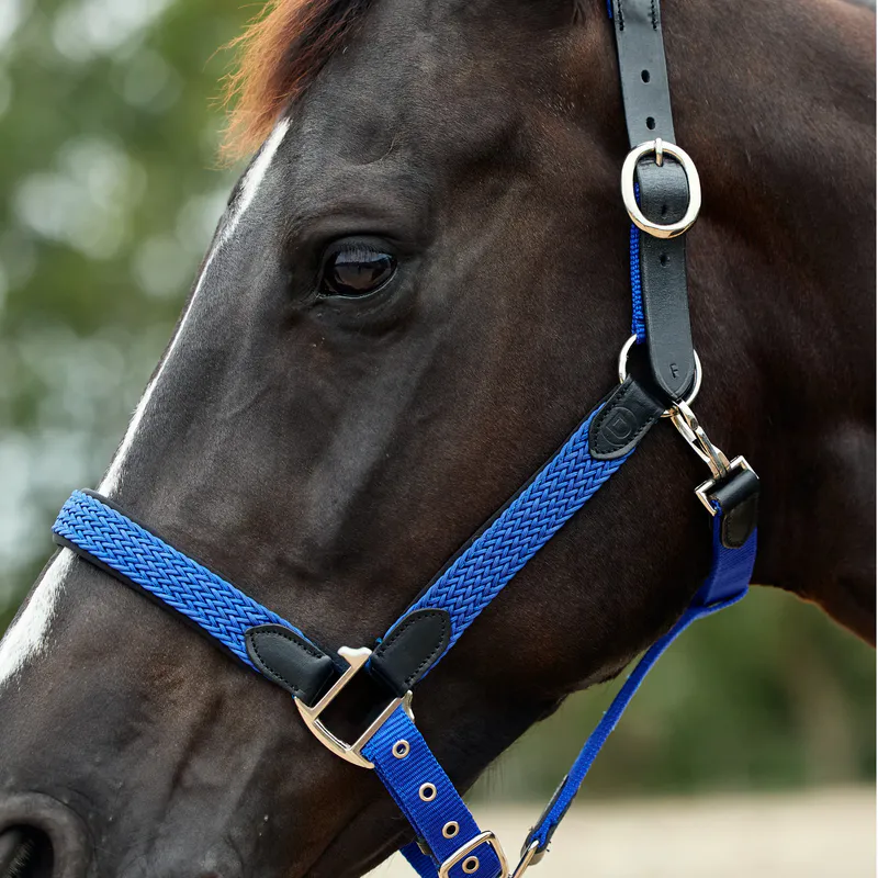 Cobalt