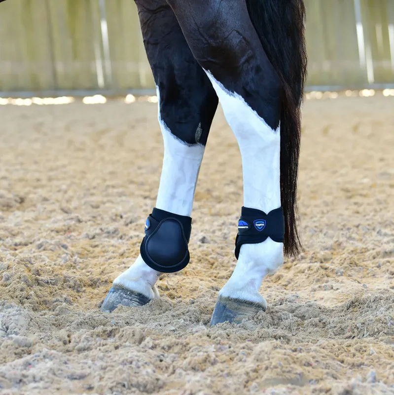 Fetlock