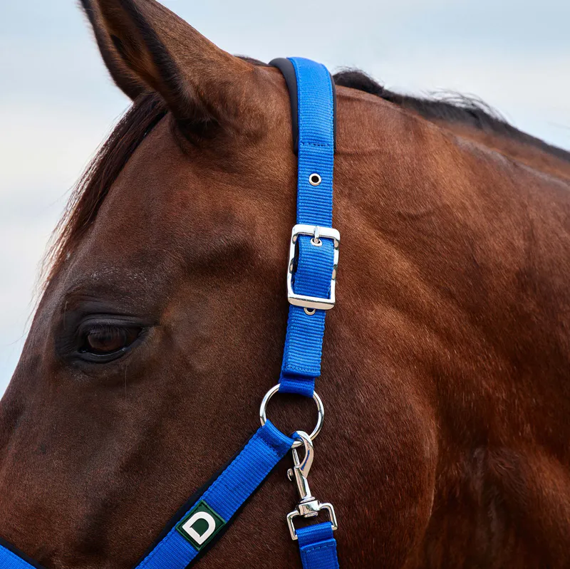 Cobalt