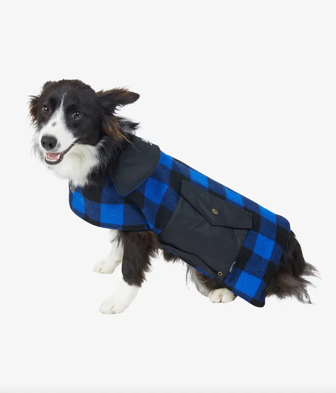 Blue/Black Check