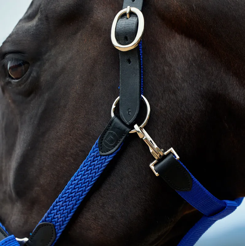 Cobalt