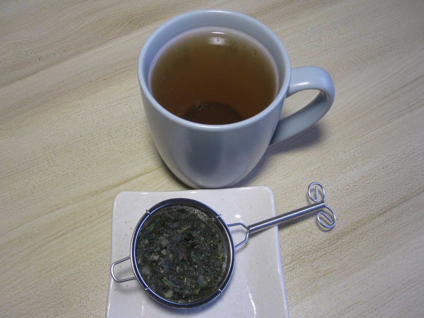 Kawakawa tea in a cup
