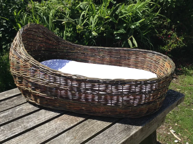 Bassinet with mattress