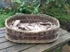 Dog basket