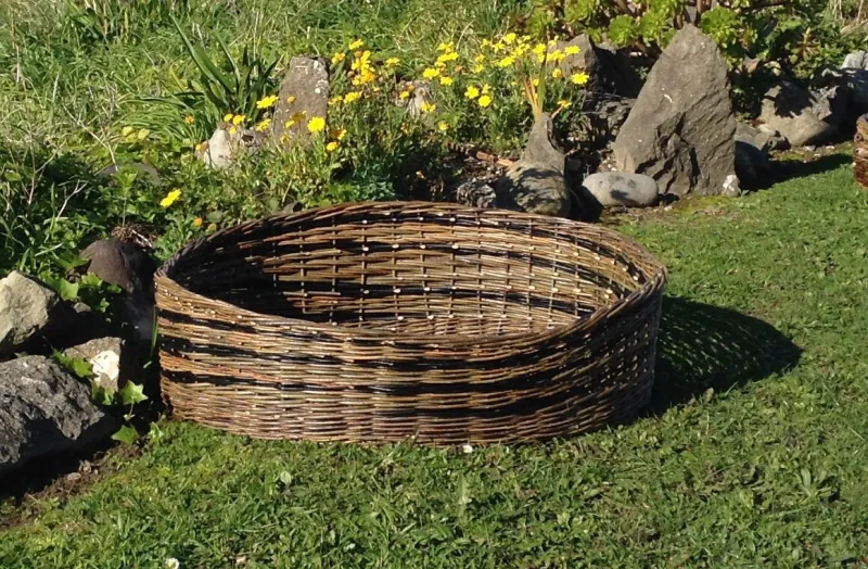 Dog basket