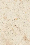 Caesarstone | Granite Design Works - Creme Brule