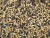 Seed Mixing with Lime and/or Fertiliser