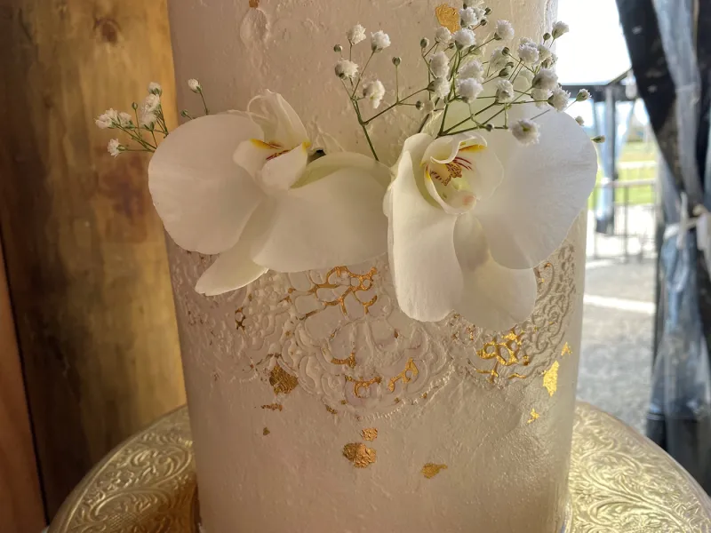 Mary Jackson's cake using the ibicci Sandra's Wedding Lace Panel