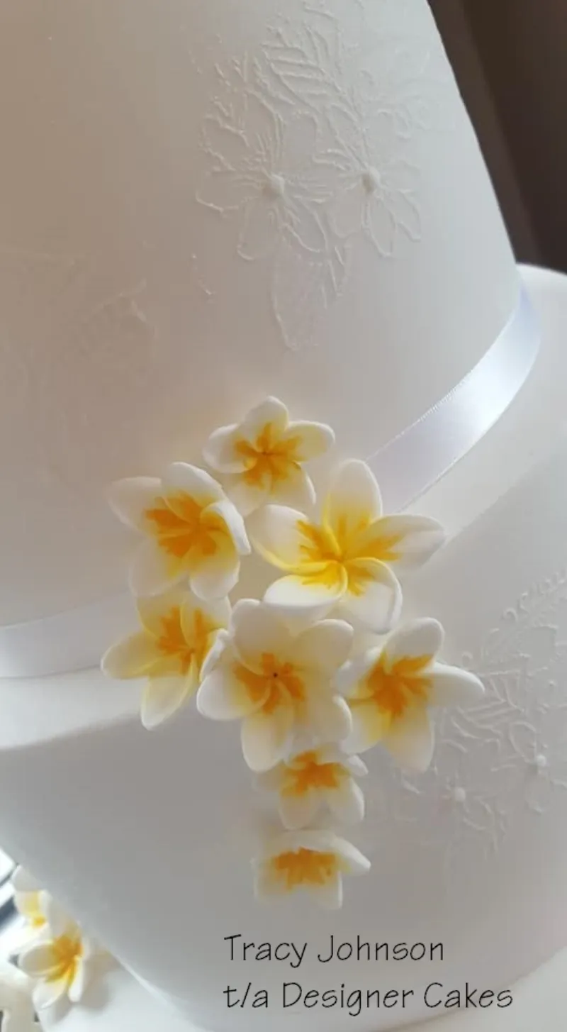 Tracy Johnson t/a Designer Cakes - Embossed Frangipani Swag Mesh stencil