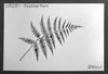 ibicci Feather Fern stencil