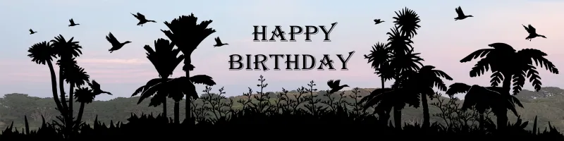 DPHUNTDUCK - Happy Birthday Duckhunter Panel 2 Digital Print image
