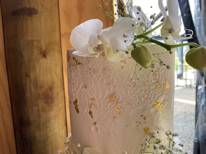 Mary Jackson's cake using the ibicci Sandra's Wedding Lace Panel