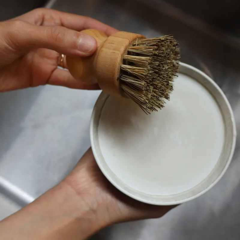 Hands holding dish soap and brush