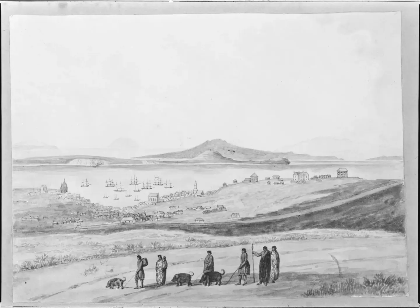 Māori traders taking pigs to Auckland. Image: Auckland Libraries Heritage Collections 1820-A17940