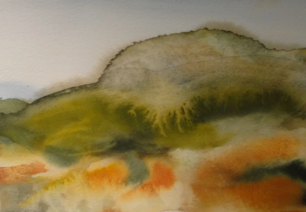 'In solidarity' watercolour on paper, framed 270x150mm