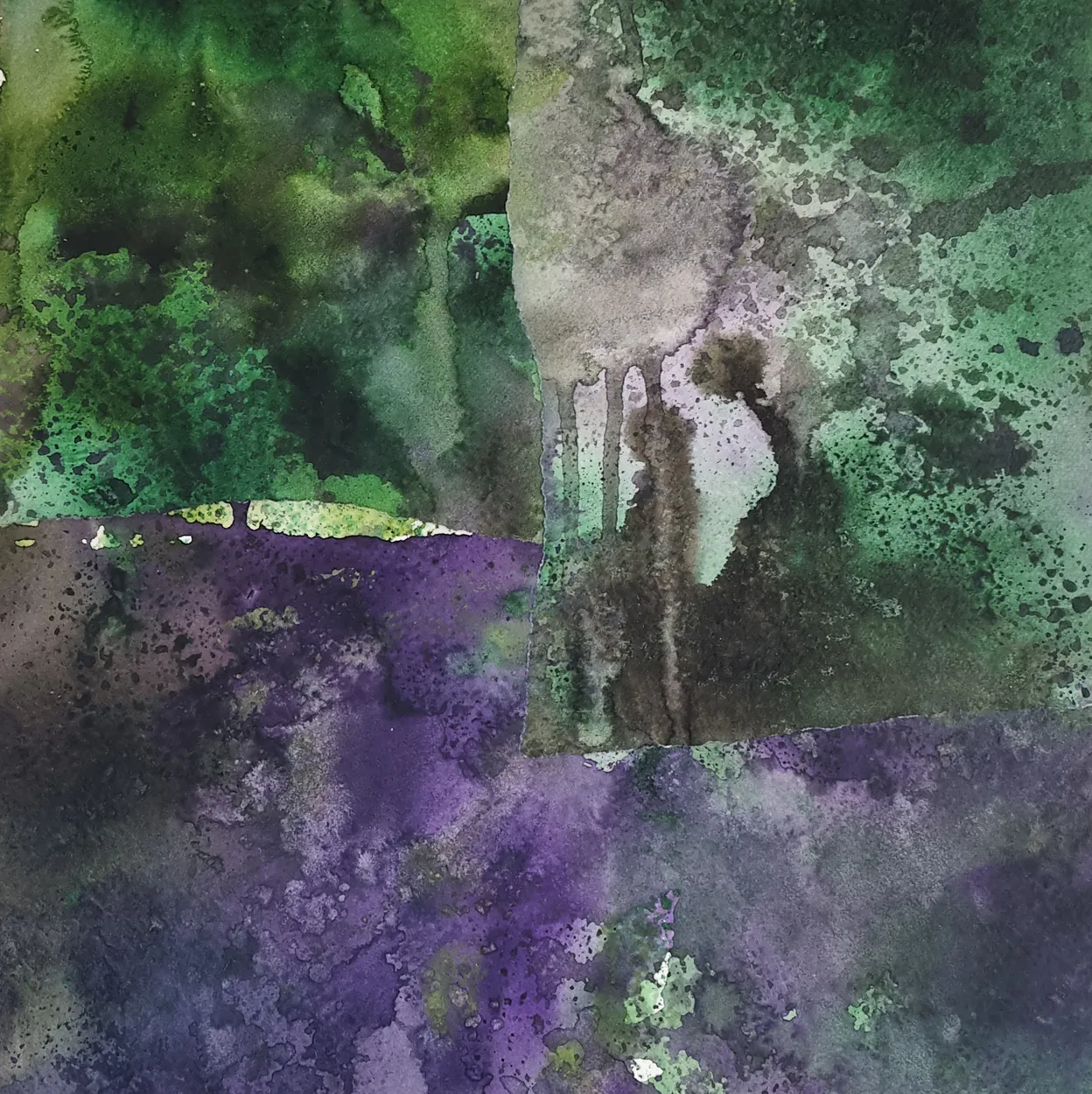 'Silver lichen (Ngātea)' 2022 water colour and charcoal on paper, collage on board. finished with wax medium 300 x 300mm