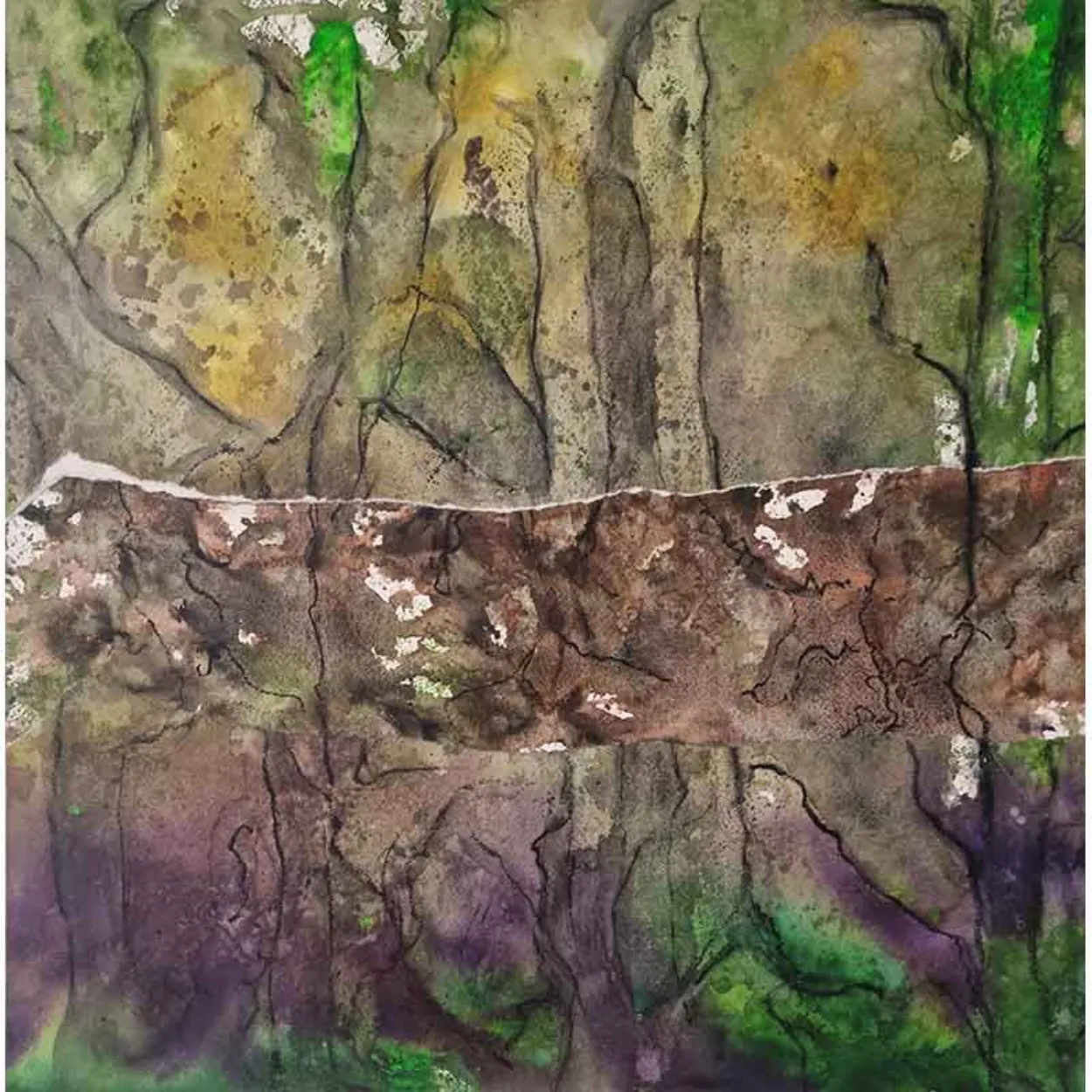 'White pine swamps' water colour and charcoal on paper, collage on board. finished with wax medium 600 x 600mm plus pine box frame