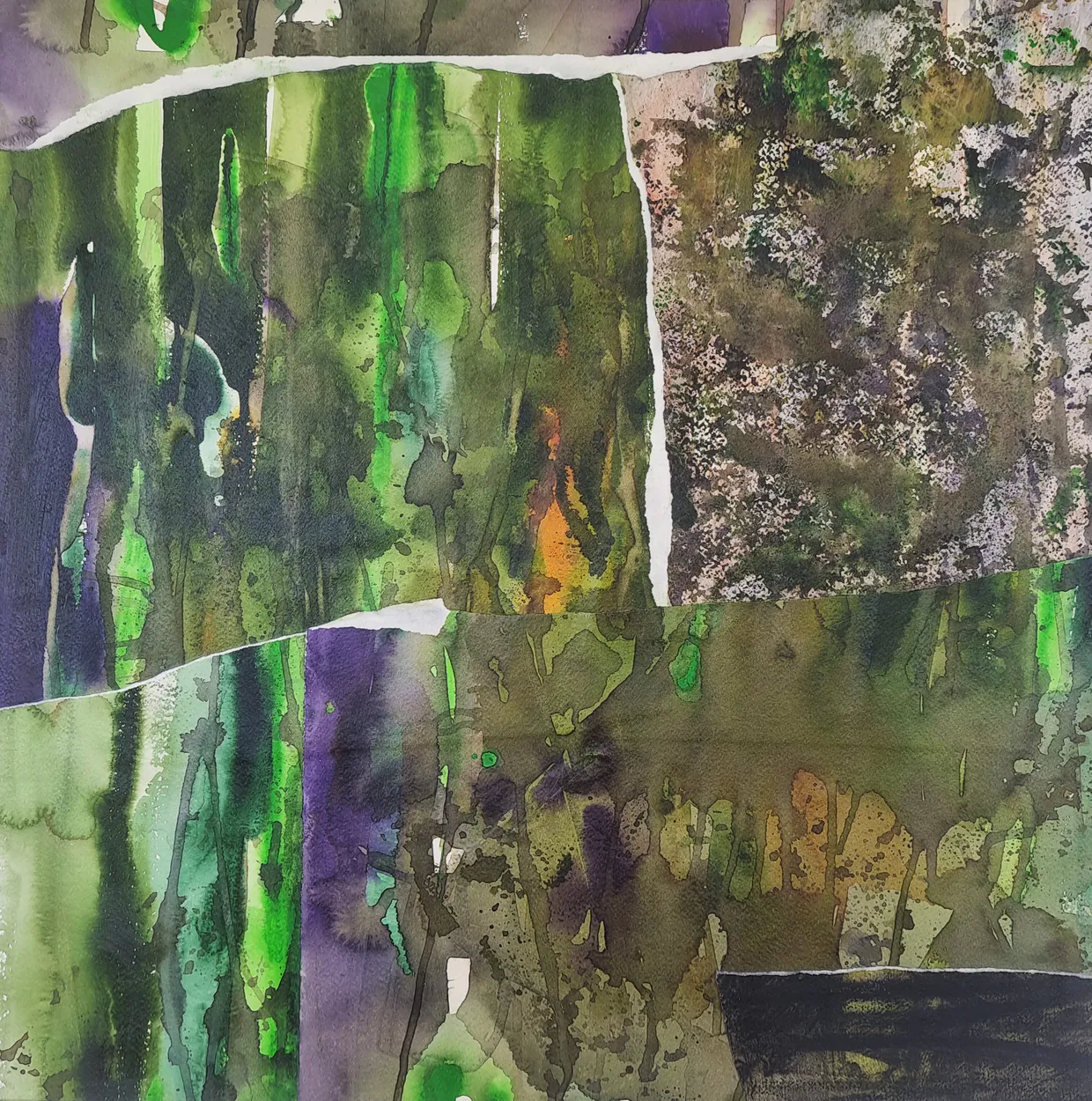 'The woods were swampy' 2023 water colour on paper, collage on board. finished with wax medium 600 x 600mm plus pine box frame