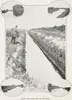 Winning 90,000 acres from sea and swamp. The Orchard Road and drain across the Piako Swamp. The New Zealand Graphic and Ladies Journal, 9 February 1910, p.20. NZG-19100209-0020-01