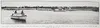 THE SETTLEMENT OF PIPIROA, IN WHICH 100 ACRES OF TOWN LANDS ARE TO BE OFFERED BY PUBLIC AUCTION AT THE THAMES, ON MAY 18, 1910. Auckland Libraries Heritage Collections AWNS-19100421-10-01