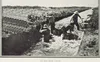 Workers in the main canal of the Piako Swamp. The New Zealand Graphic and Ladies Journal, 9 February 1910, p.28. NZG-19100209-0028-03