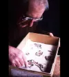 Volunteer Len Bruce reconstructing fragments of the Hampden plate.