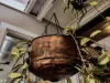 Hanging Copper Planter