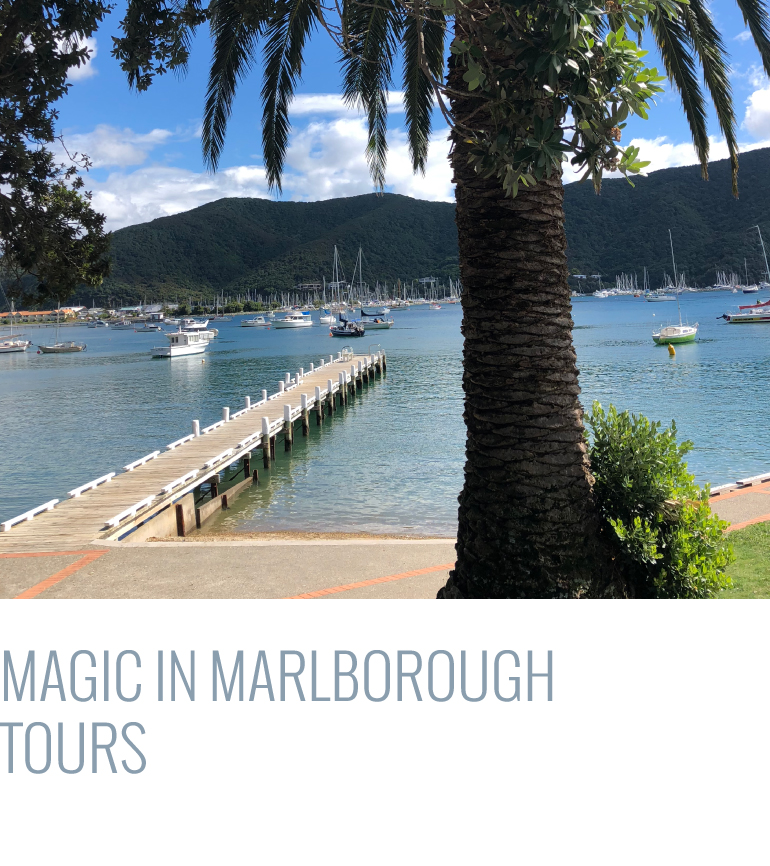 ‘Magic in Marlborough’ Personalised Tours - Marlborough, Blenheim, Kaikoura and Nelson
