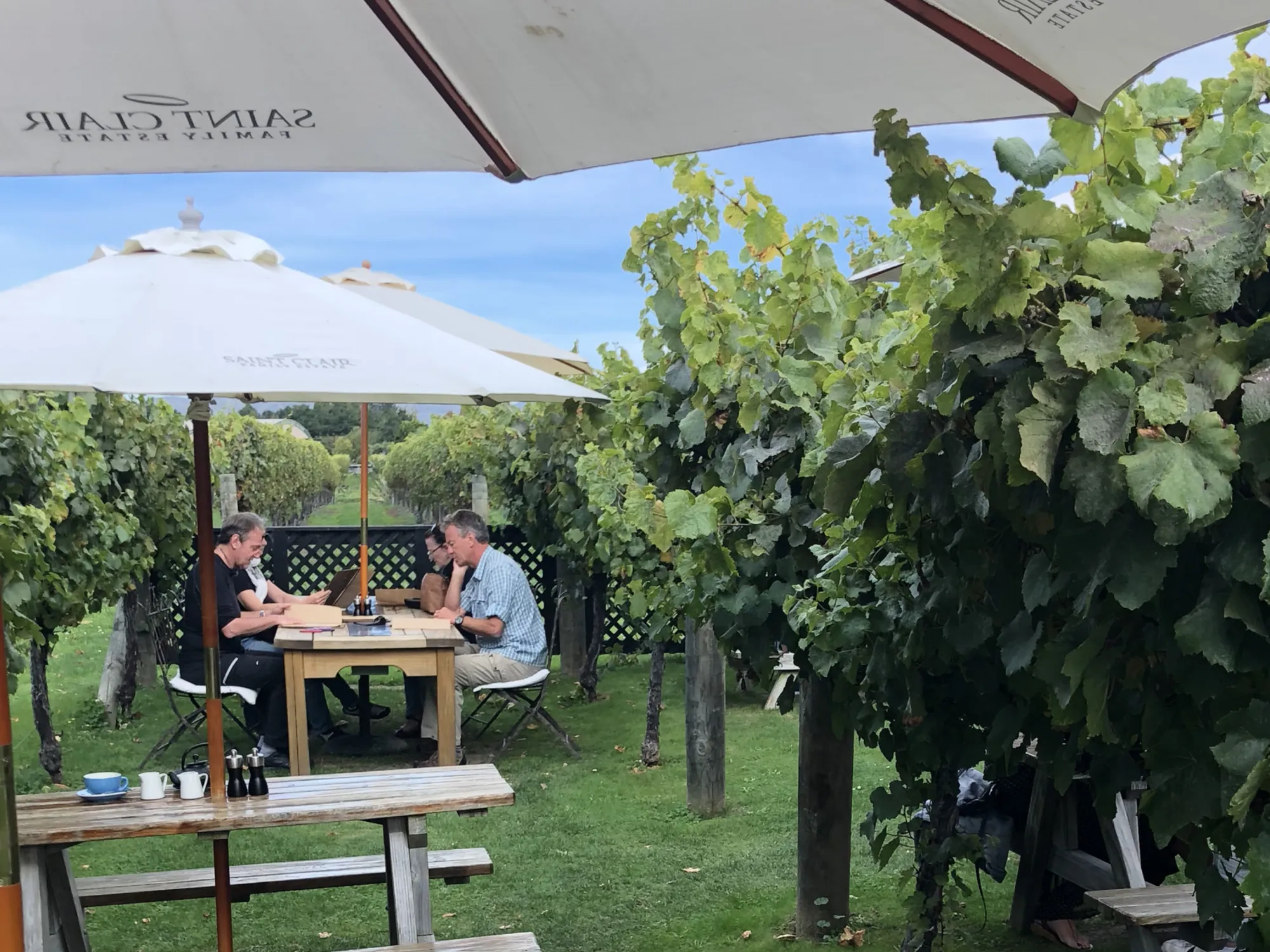 Magic in Marlborough Winery and Lunch Tour