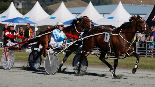 Dunn dominates at Nelson Harness Races