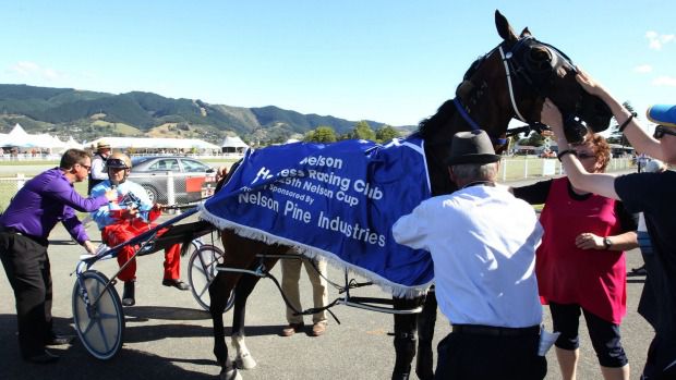 Western Art's Nelson Cup win at Nelson harness races