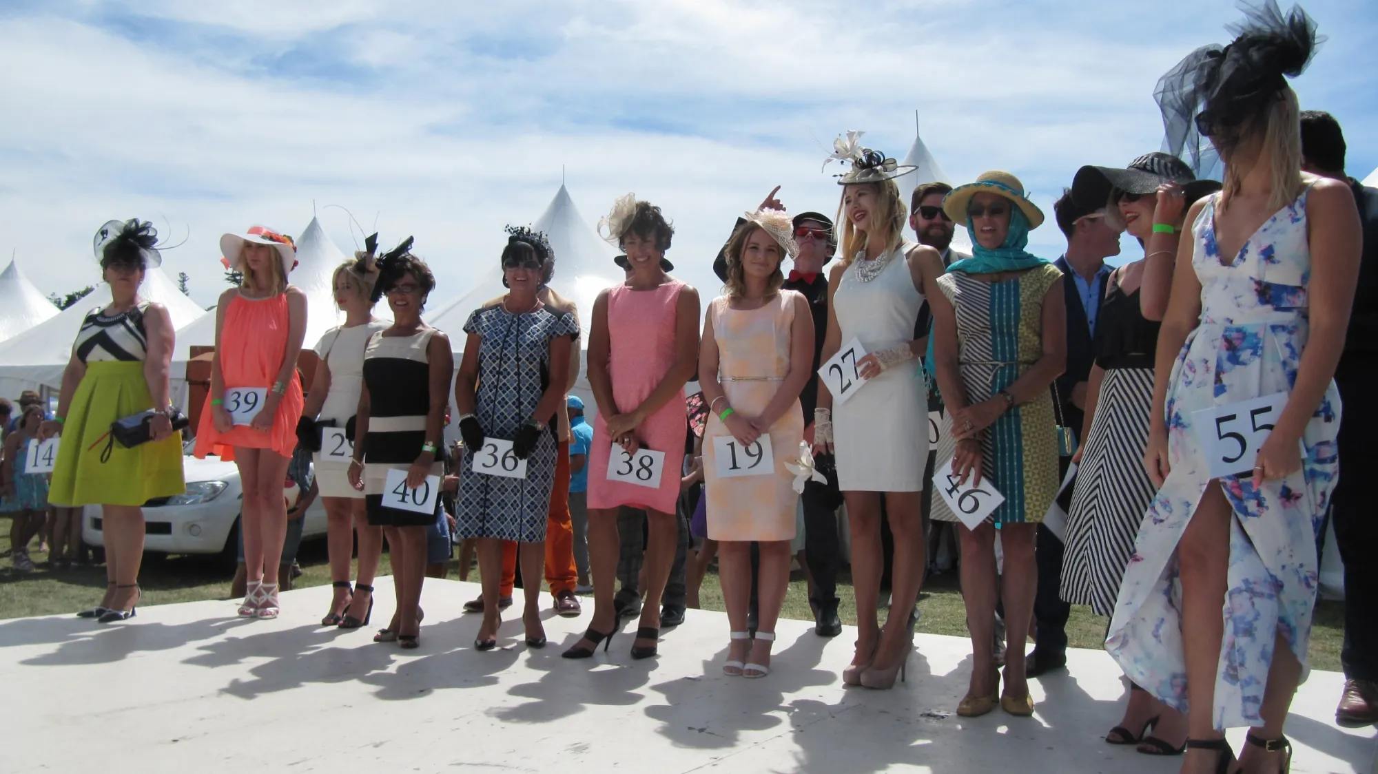 Nelson Harness Races Fashion in the Field 2015
