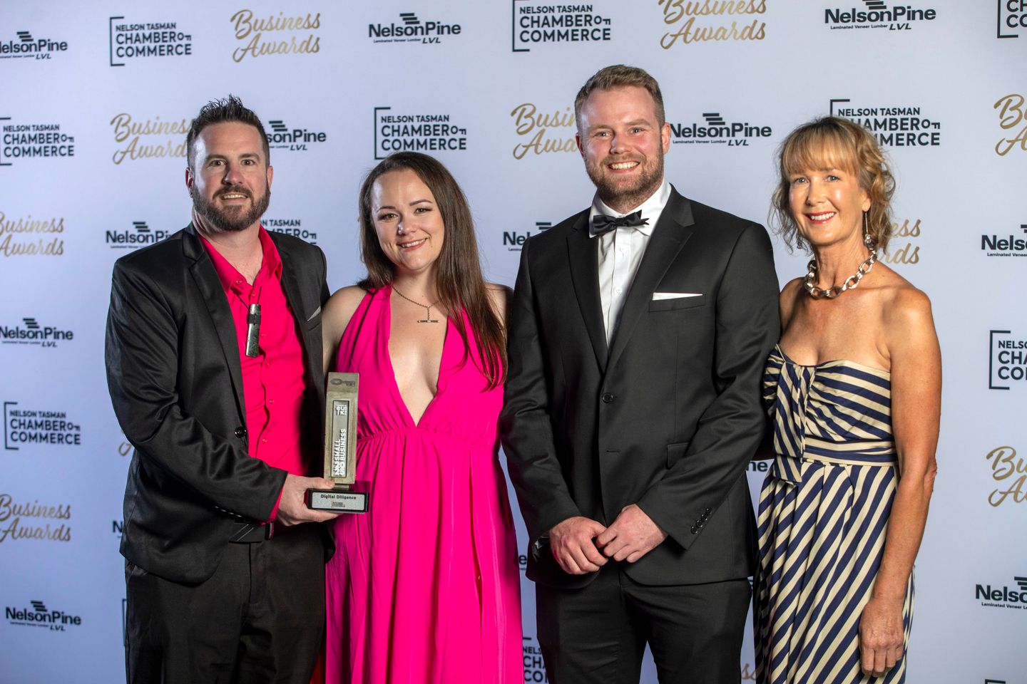 Small Business Winner DDL