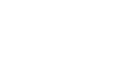 Nelson Tasman Chamber of Commerce logo